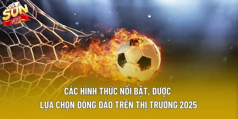 Các hình thức nổi bật, được lựa chọn đông đảo trên thị trường 2025 Các hình thức nổi bật, được lựa chọn đông đảo trên thị trường 2025